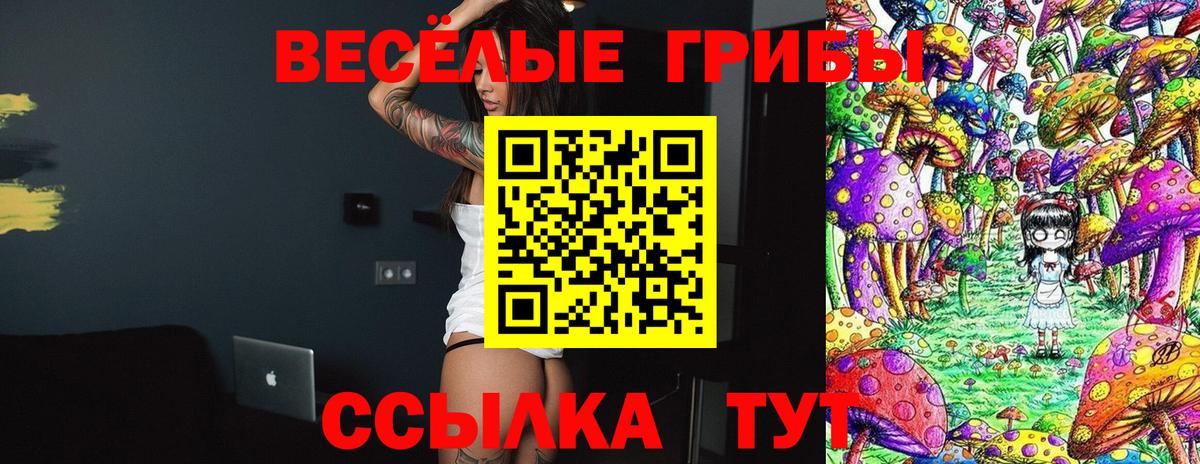 Псилоцибиновые грибы ЛСД  Вход с VPN  Кулебаки 